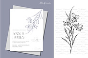 Fine Line Birth flowers Collection, an Illustration by CaraulanStore (Thumbnail 7 of 8)