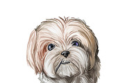 Dogs Cross Breeds 56 Animals Bundle, an Animal Illustration by Dneprstock (Thumbnail 41 of 55)