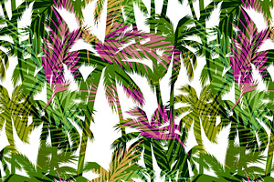 Palm Paradise! 6 Seamless Patterns