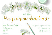 BUNDLE WHITE FLOWERS-85%, an Illustration by watercolorwild.graphics (Thumbnail 11 of 12)