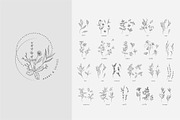 Spices. 30 Premade logos & branches, a Branding & Logo Template by Merfin (Thumbnail 7 of 8)