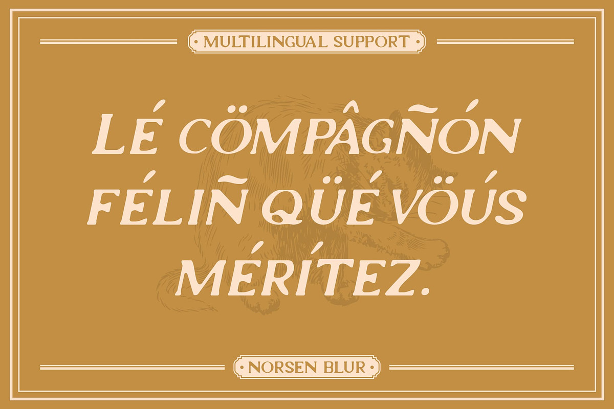 Norsen Blur, a Sans Serif Font by Craft Supply Co. (Photo 4 of 8)