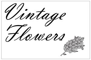 Hand drawn flowers