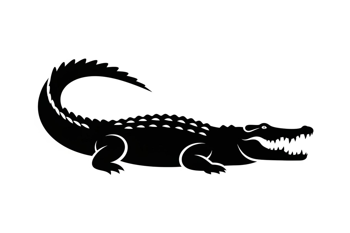 Crocodile Alligator Vector Bundle, an Illustration by jahid234 (Photo 37 of 51)