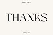 Chermy, a Serif Font by Zaloma Studio (Thumbnail 17 of 17)