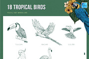 111 Tropical Stamps for Affinity, a Brush Add-On by Riveros Illustration (Thumbnail 4 of 13)