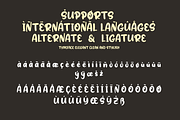 Radish, a Sans Serif Font by twinstd (Thumbnail 11 of 12)