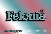 Felonia 3D, a Serif Font by Craft Supply Co. (Thumbnail 1 of 8)