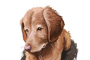 Puppies Dog Breeds Big Bundle 135Pcs, an Animal Illustration by Dneprstock (Thumbnail 25 of 68)