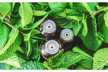 The mint extract in a small jar, a Food & Drink Photo by yanadjana