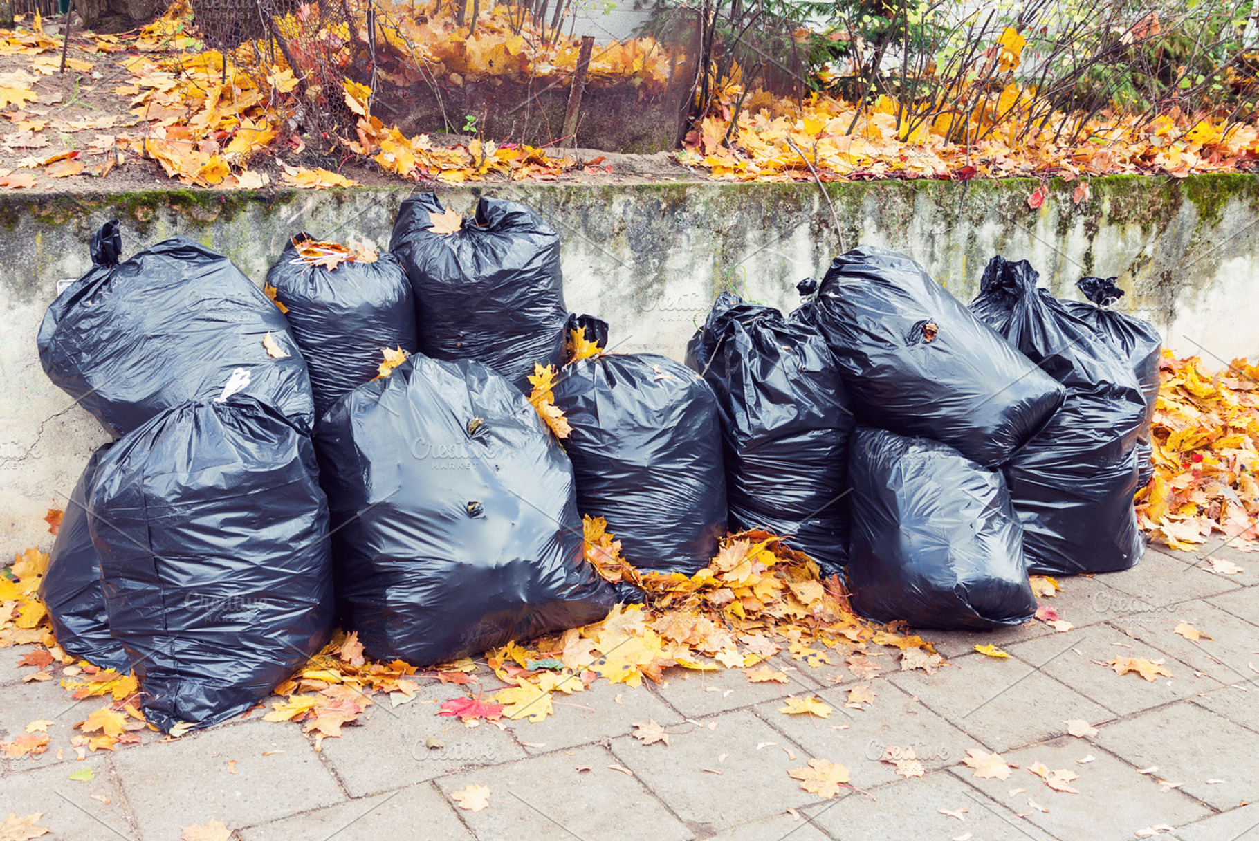 Plastic garbage bags full of leaves, an Industrial Photo by BOOCYS