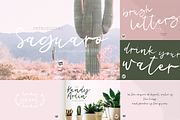 DESERT DREAMS Lettered Font Bundle, a Script Font by Blush Font Co. (Thumbnail 6 of 9)
