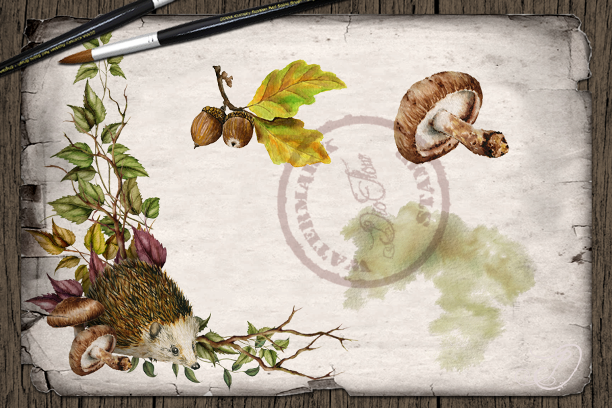 Hedgehog Watercolor Illustration, a Decorative Illustration by DioFlow (Photo 5 of 6)