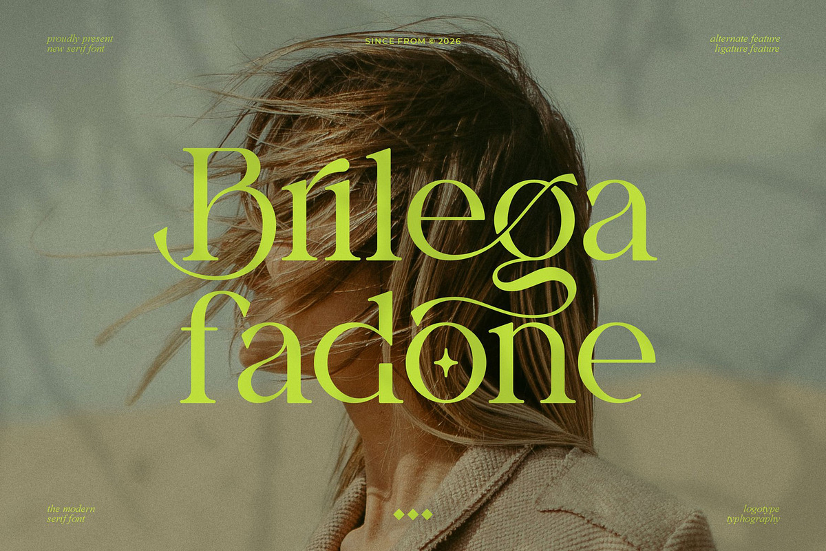 Brilega Fadone | Modern Classy Serif, a Serif Font by Ermedia Studio (Photo 1 of 10)