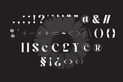 Hegarown Display Serif Font, a Serif Font by Randi Irvan | Rvandtype (Thumbnail 13 of 16)