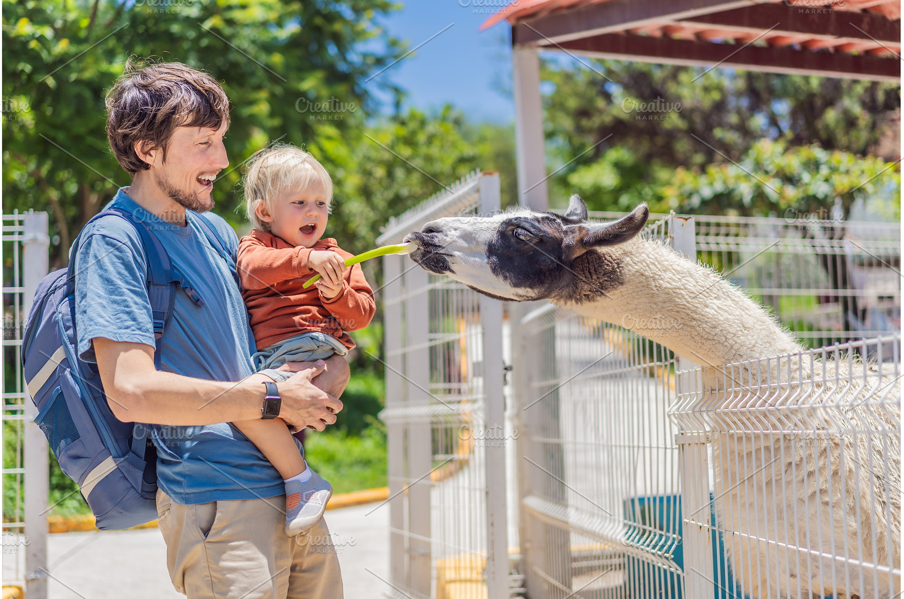 Father and son feeding a llama on a, an Animal Photo by Elizaveta Galitskaya