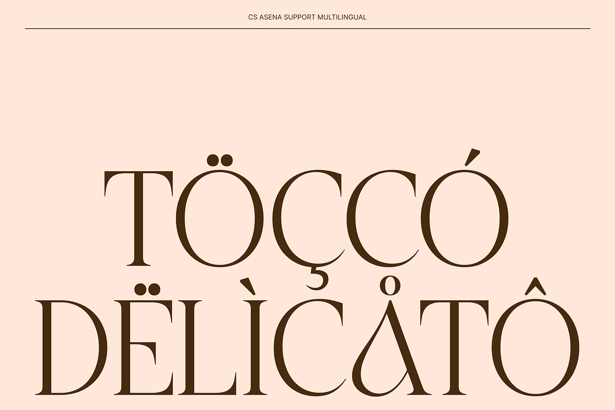 CS Asena – Elegant Serif Font, a Serif Font by Craft Supply Co. (Photo 5 of 8)