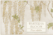 Fresco collection Wisteria bloom, a Wallpaper Graphic by Natalia0307 (Thumbnail 1 of 25)
