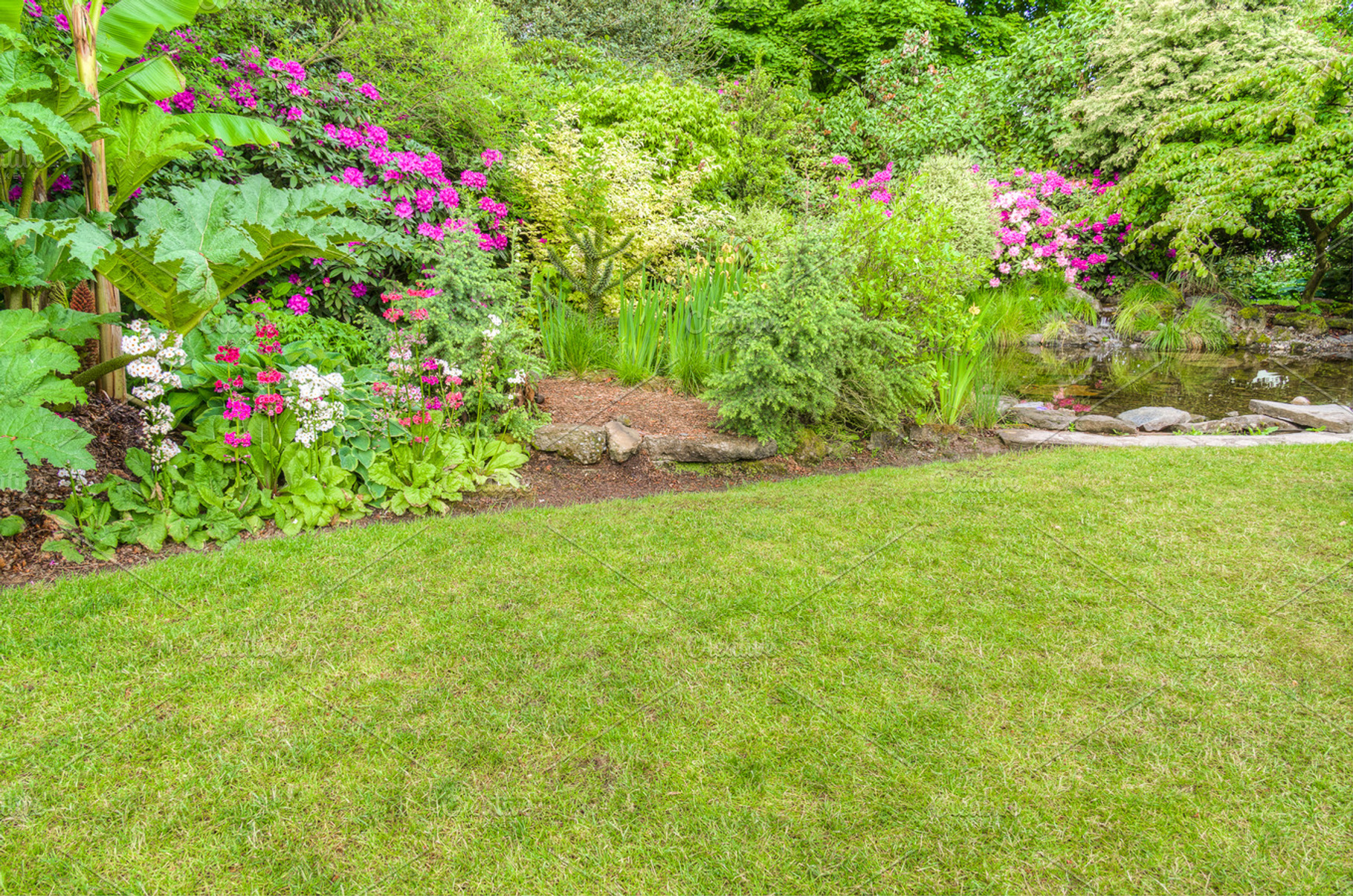 Blooming Flower Garden