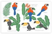 36 Tropical Elements + 12 Patterns, an Object Graphic by monkik (Thumbnail 6 of 11)