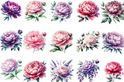Pink & Purple Peony Flowers Clipart, an Illustration by Designking (Thumbnail 2 of 4)