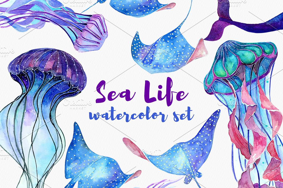 Sea Life. Watercolor set, an Animal Illustration by Librebird (Photo 1 of 6)