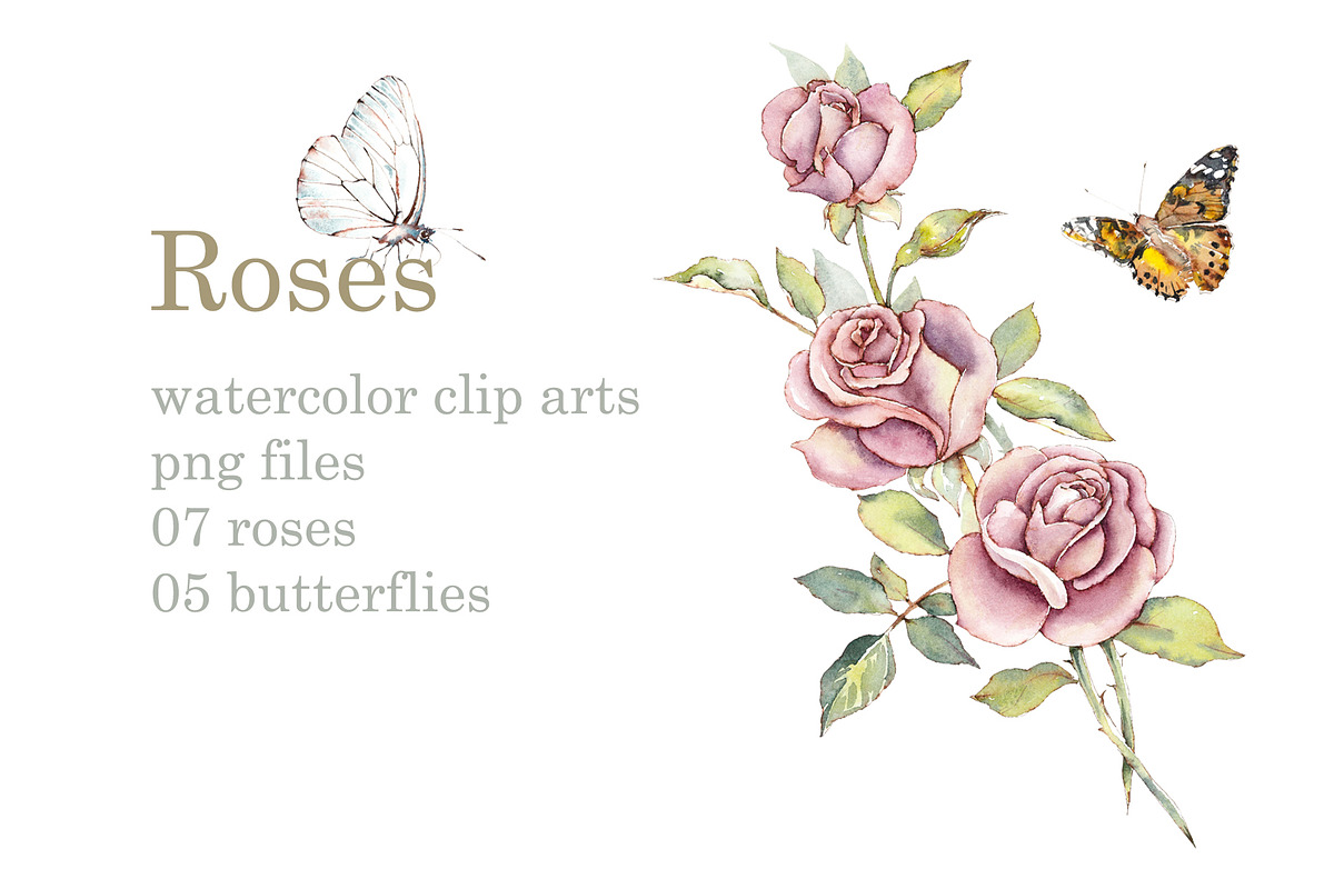 Watercolor Pink Roses, a Decorative Illustration by Budogoshch (Photo 1 of 5)