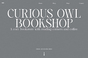 Bluewave - Modern Serif, a Serif Font by Mikhail Fukurou (Thumbnail 6 of 11)