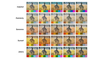 25 Safari Lightroom Presets and LUTs, a Preset Add-On by Hubzway (Thumbnail 9 of 14)