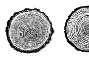 Woodlog Vector Template [i], an Object Graphic by 103cia (Thumbnail 3 of 3)