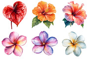 Tropical Watercolor Flower Bundle, an Illustration by Pixels.Craft (Thumbnail 6 of 8)