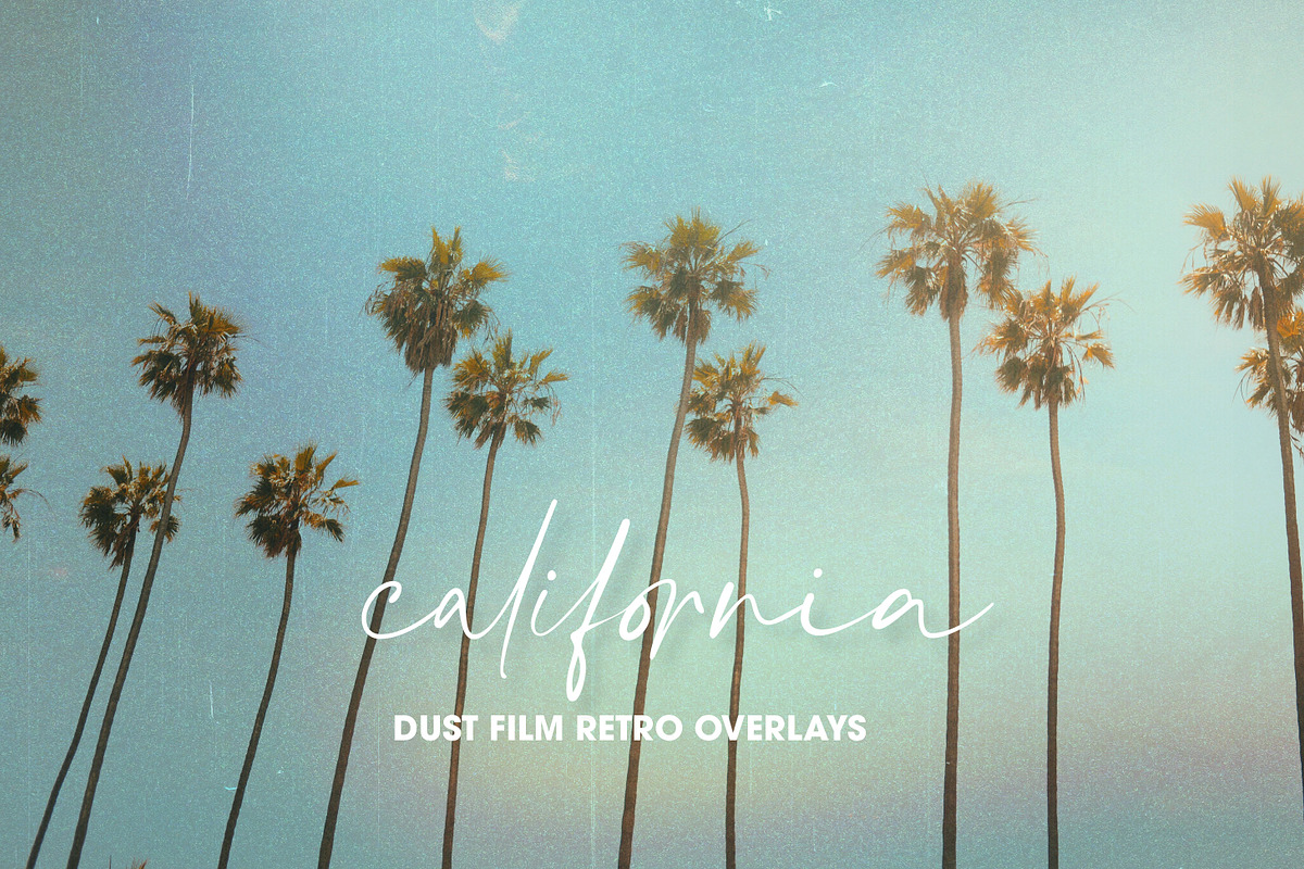 Dusty Film Retro Photo Overlays, a Photo by Paper Flowers Studio (Photo 11 of 11)