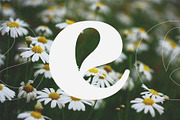Cosity - Display Serif Font, a Serif Font by Koplexs Studio (Thumbnail 2 of 10)