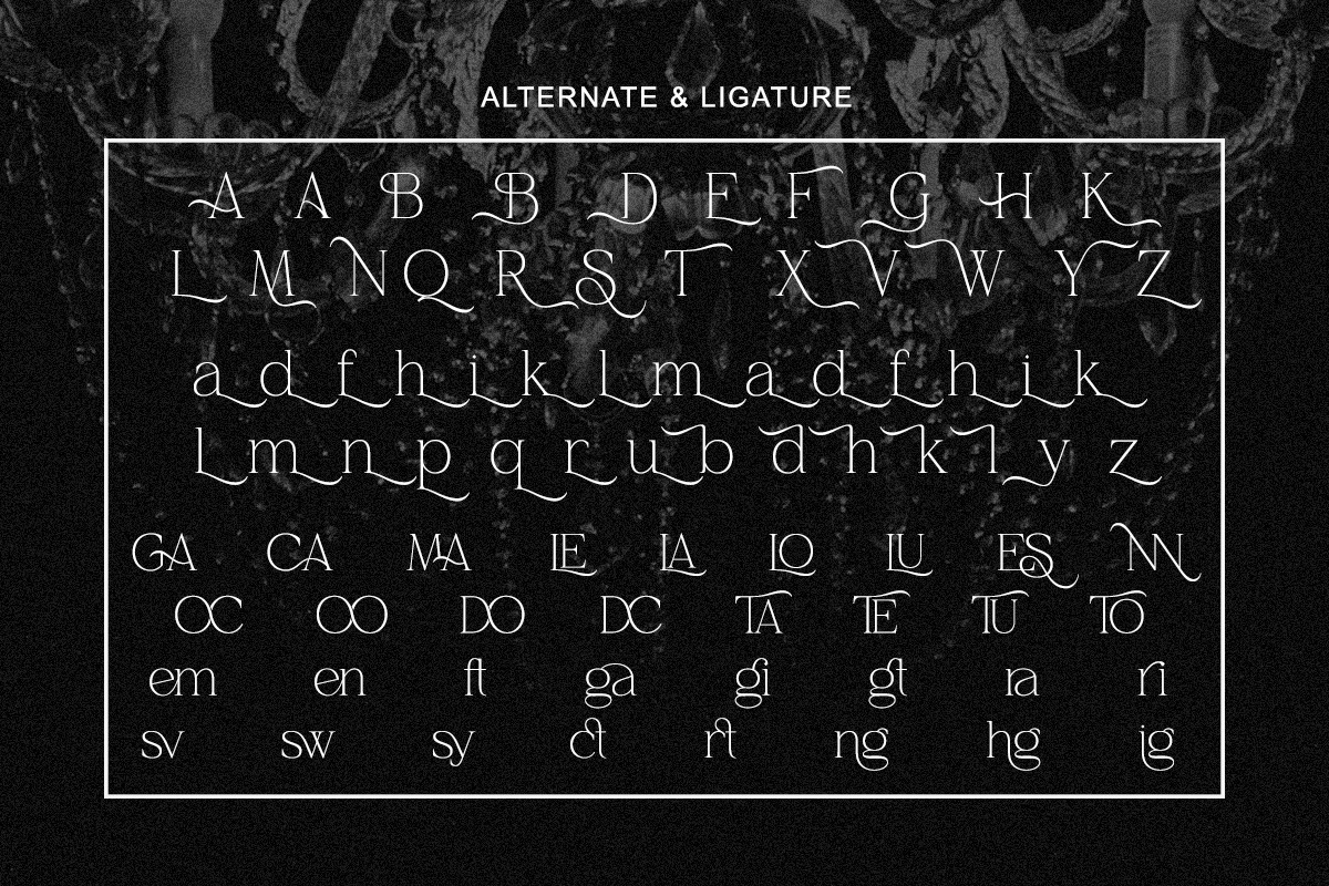Belvina - Modern Luxury Serif Font, a Serif Font by Qweera Studio (Photo 11 of 12)