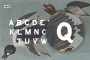 Moses - Display Grotesque Typeface, a Slab Serif Font by Nomad Visuals (Thumbnail 7 of 8)