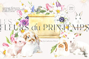 26in1 BUNDLE Watercolor Animal, an Animal Illustration by Catherine Wheel (Thumbnail 5 of 27)