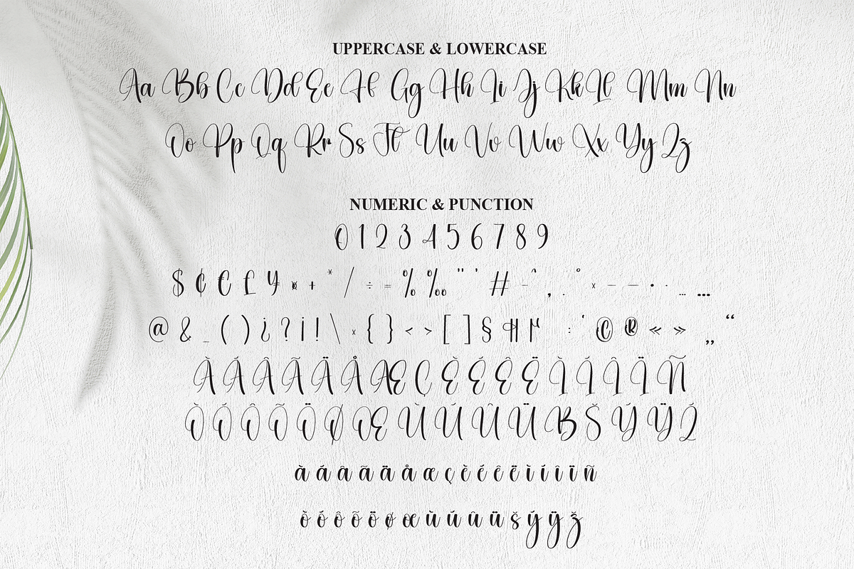 Dingbat | Script Font, a Handwritten Font by Scratchones (Photo 7 of 9)
