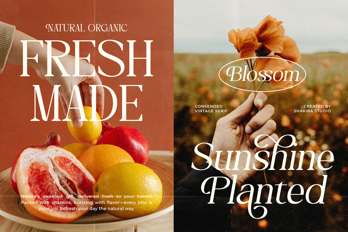 Rachels Bendaty - Retro Serif, a Font by Shakira Studio (Photo 2 of 10)