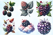 Watercolor Blackberry Clipart, an Illustration by Craft Nest (Thumbnail 4 of 6)