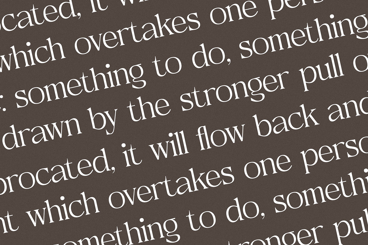 Metrolin Modern Serif Font, a Serif Font by Storytype Studio (Photo 10 of 15)