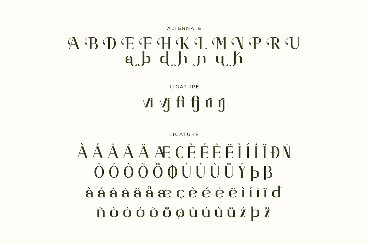 Arcavius - Modern Serif Font, a Serif Font by Rishsketch (Photo 14 of 15)