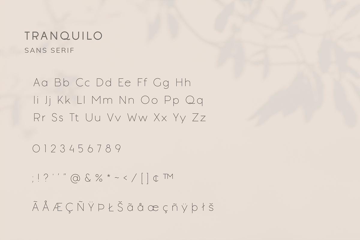 Tranquilo Boho | Font Duo, a Script Font by Vanem Studio (Photo 11 of 14)