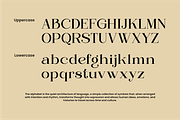 Regani - Modern Serif Typeface, a Serif Font by NexaLine (Thumbnail 9 of 10)