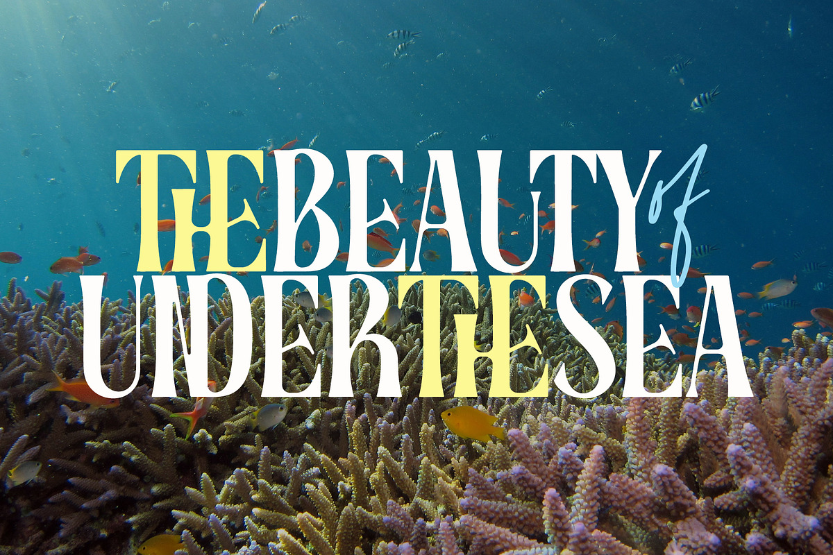 Coral Root - Stylish Serif Font, a Serif Font by Airotype (Photo 2 of 13)