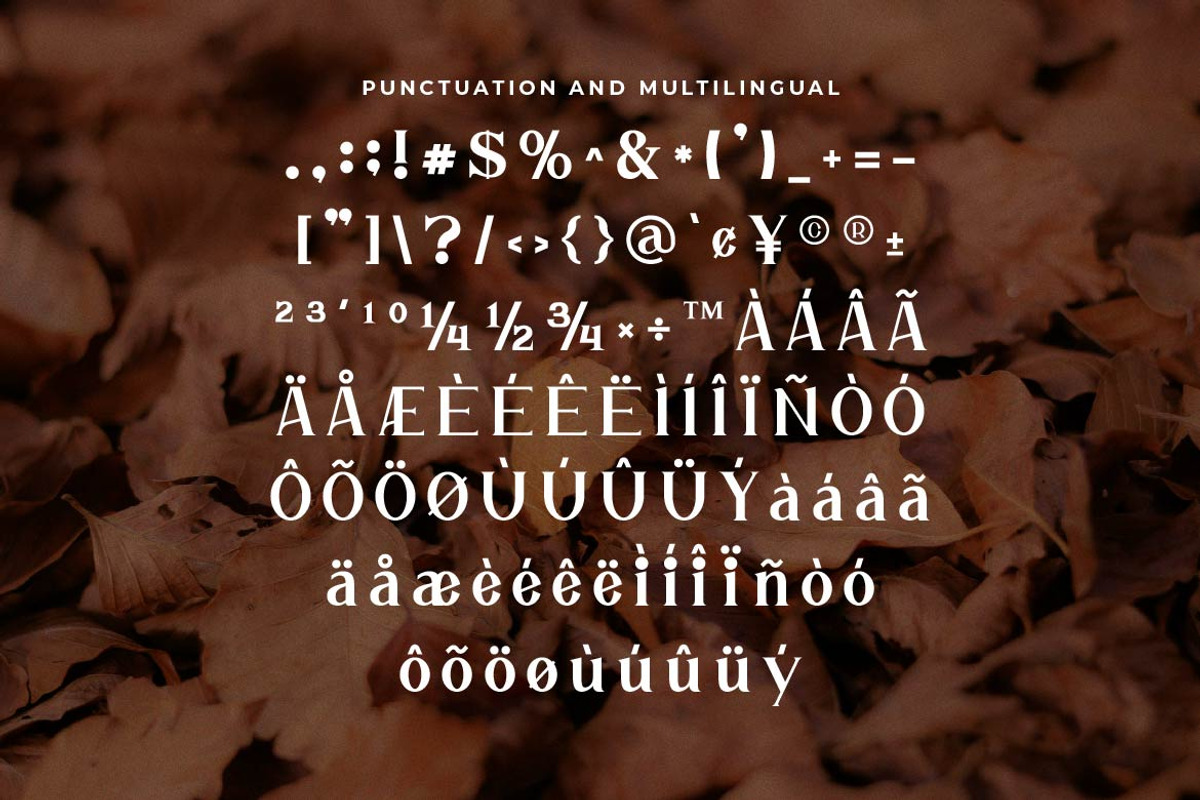 Elhave Luxury Serif Font, a Serif Font by Artiveko (Photo 2 of 7)