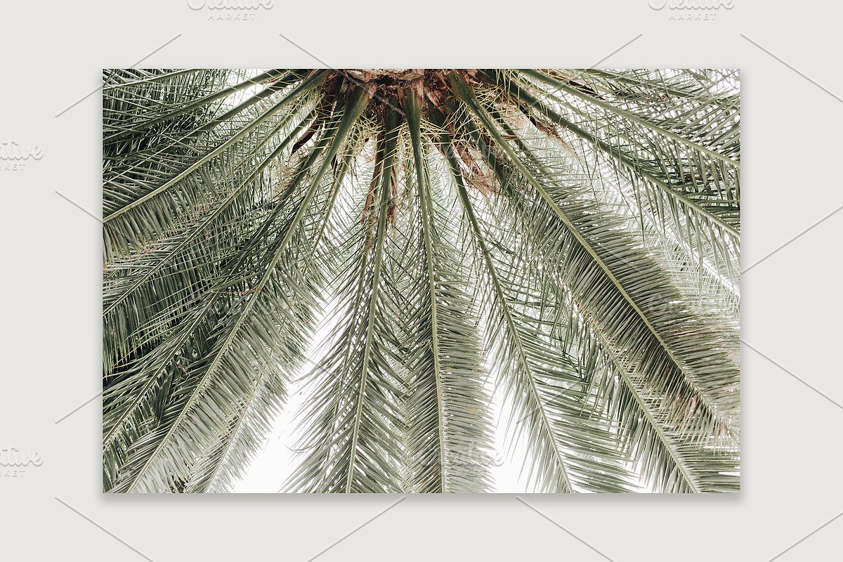 Lifestyle Bundles Collection 4, a Beauty & Fashion Photo by Floral Deco (Photo 5 of 66)