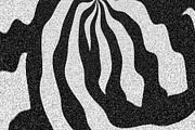 Wild Stripes, a Texture Graphic by Jennifer Lauren Creative (Thumbnail 8 of 16)