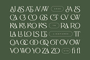Slowdate - Beauty Elegant Ligature, a Serif Font by Typia Nesia (Thumbnail 3 of 11)