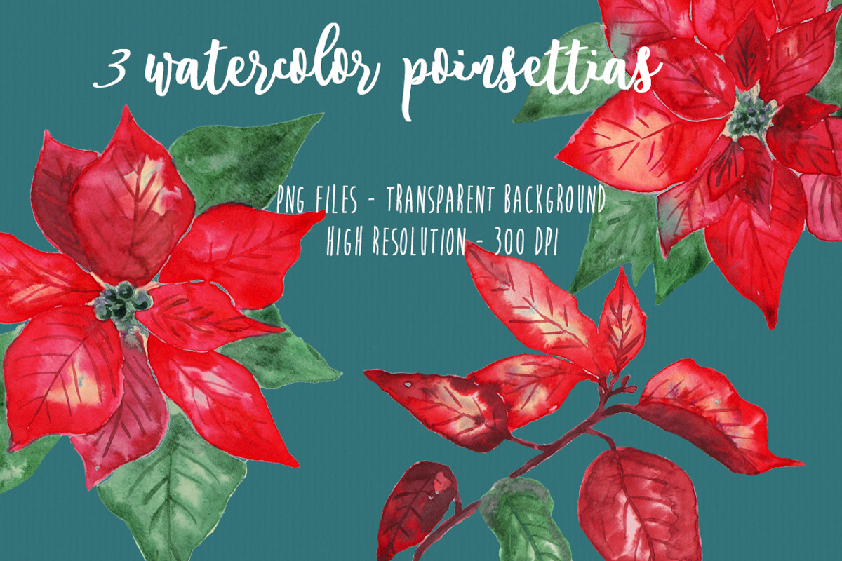 Watercolor Christmas Leaves Set, an Illustration by MaraquelaStudio (Photo 3 of 7)