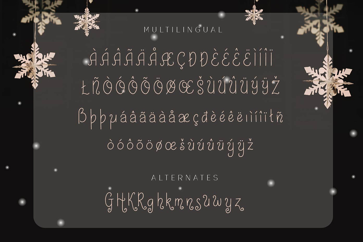 Shayfinton Decorative Monoline Fonts, a Serif Font by Patria Ari (P4tcreativa) (Photo 8 of 9)